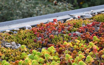 the cost of Altnamackan green roof installation